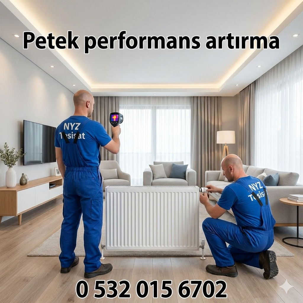 Petek Performans Artırma