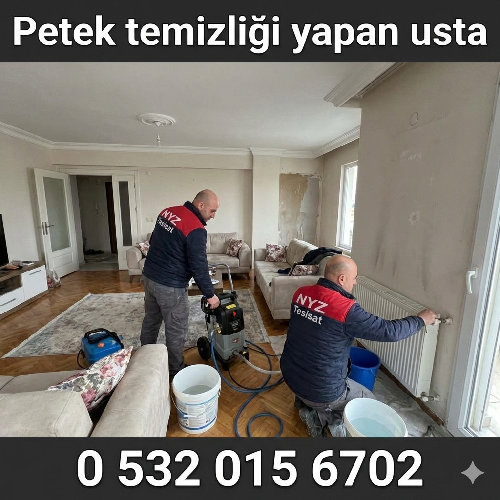 Petek Temizliği Yapan Usta