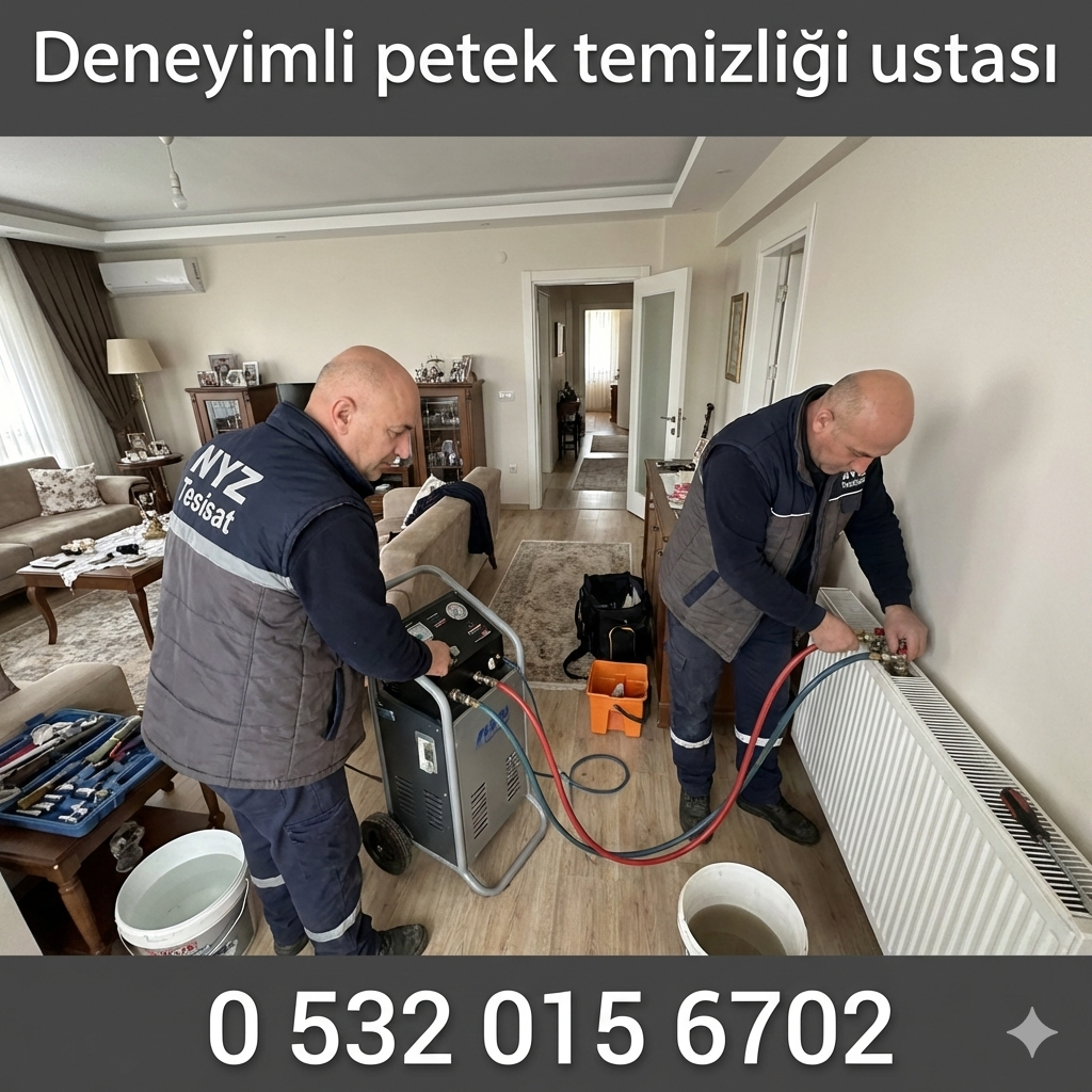 Deneyimli Petek Temizliği Ustası