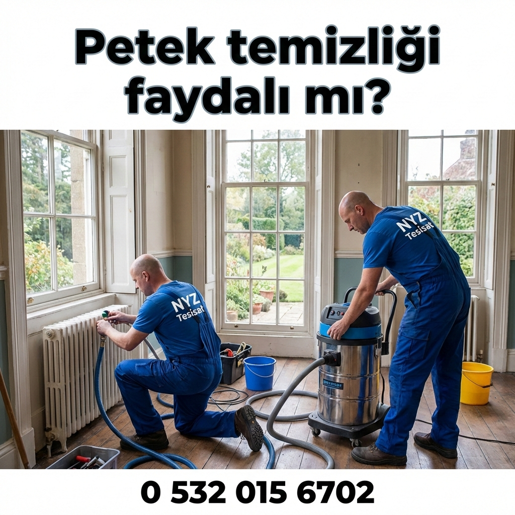 Petek Temizliği Faydalı Mı