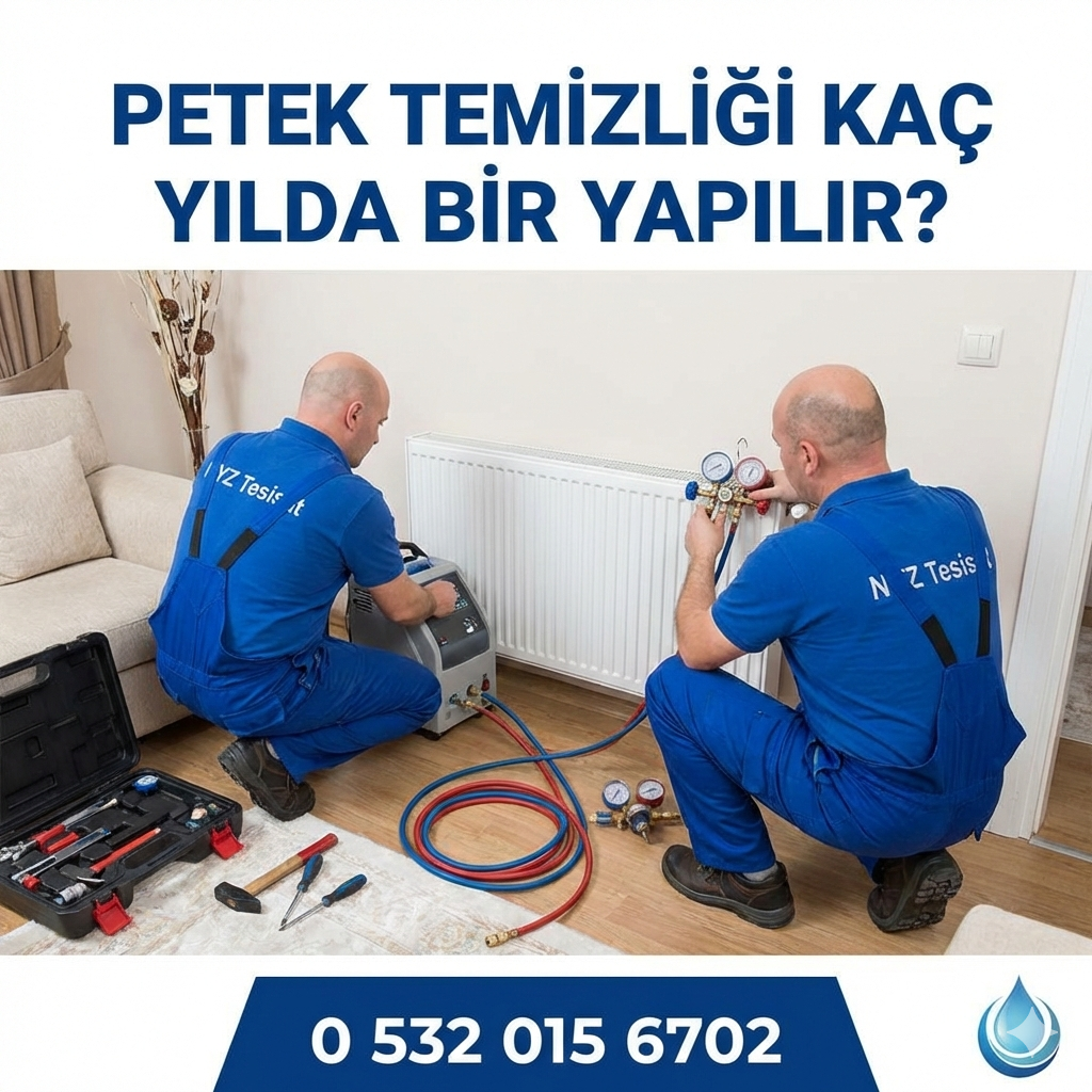 Petek Temizliği Kaç Yılda Bir Yapılır