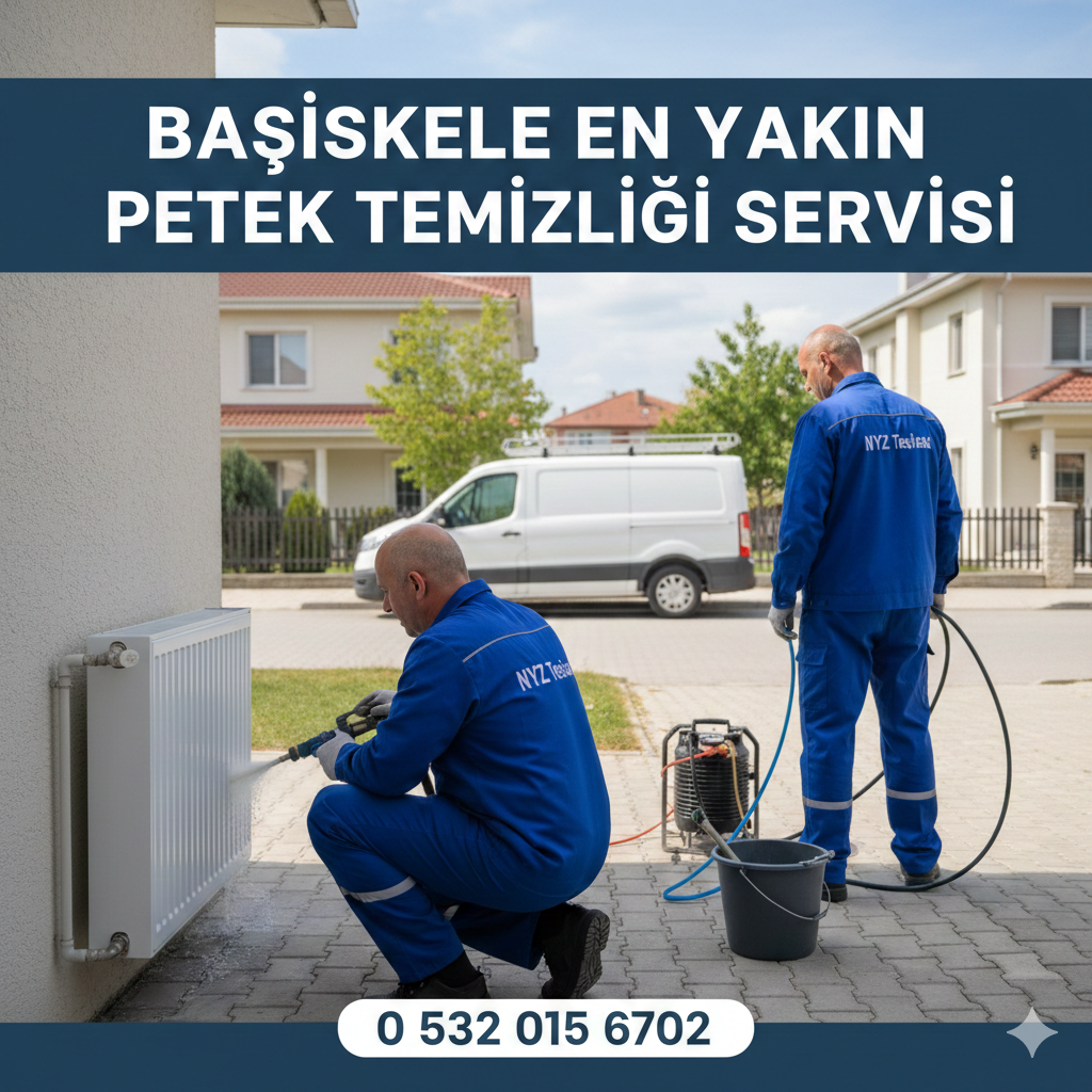 Başiskele En Yakın Petek Temizliği Servisi