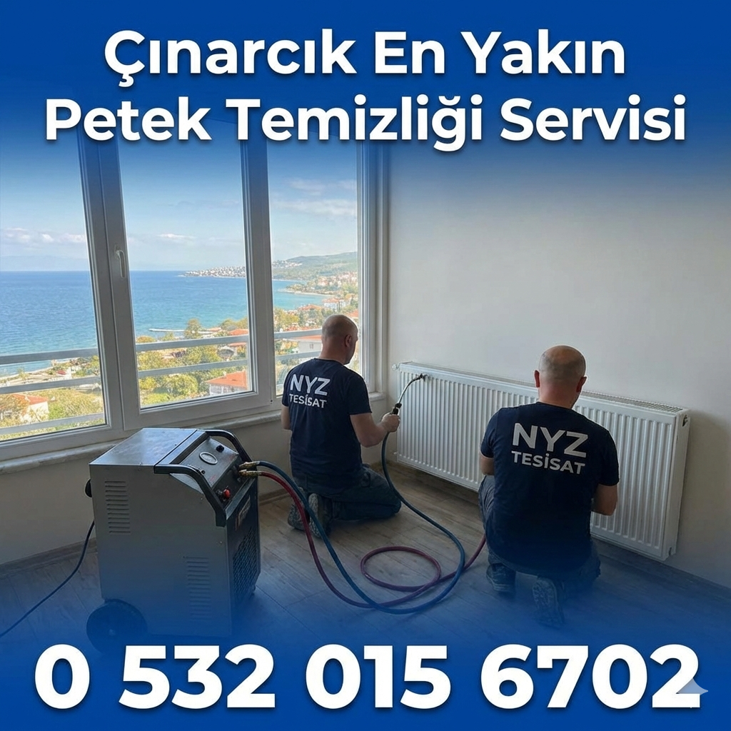 Çınarcık En Yakın Petek Temizliği Servisi