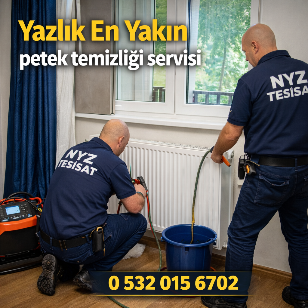 Yazlık En Yakın Petek Temizliği Servisi