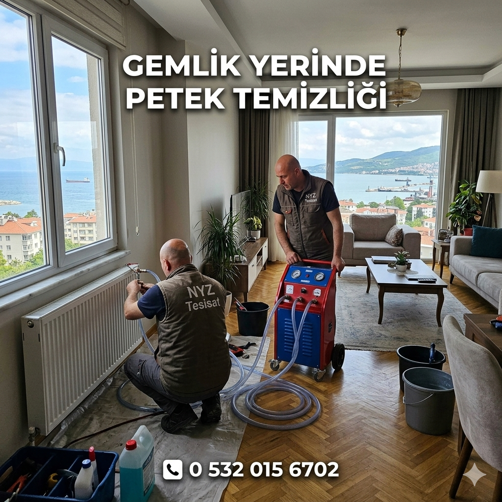 Gemlik Yerinde Petek Temizliği