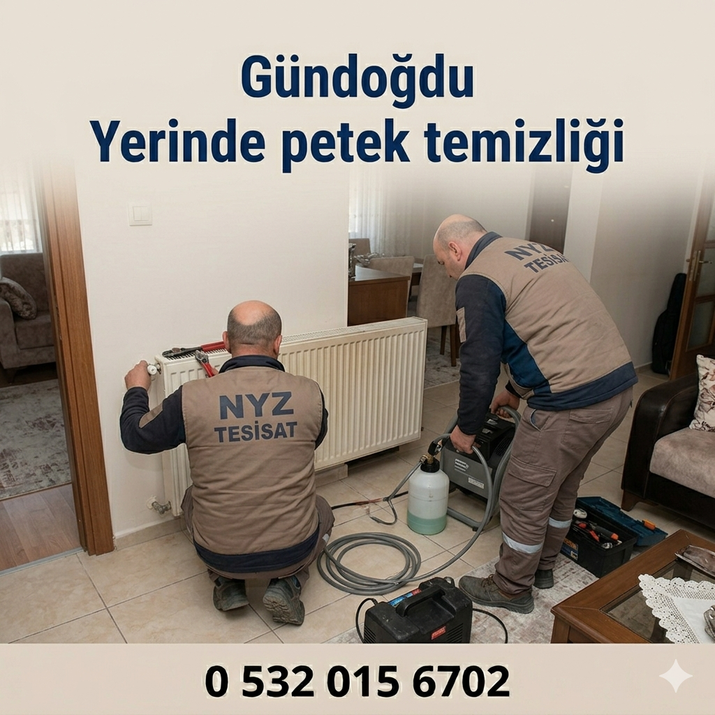 Gündoğdu Yerinde Petek Temizliği