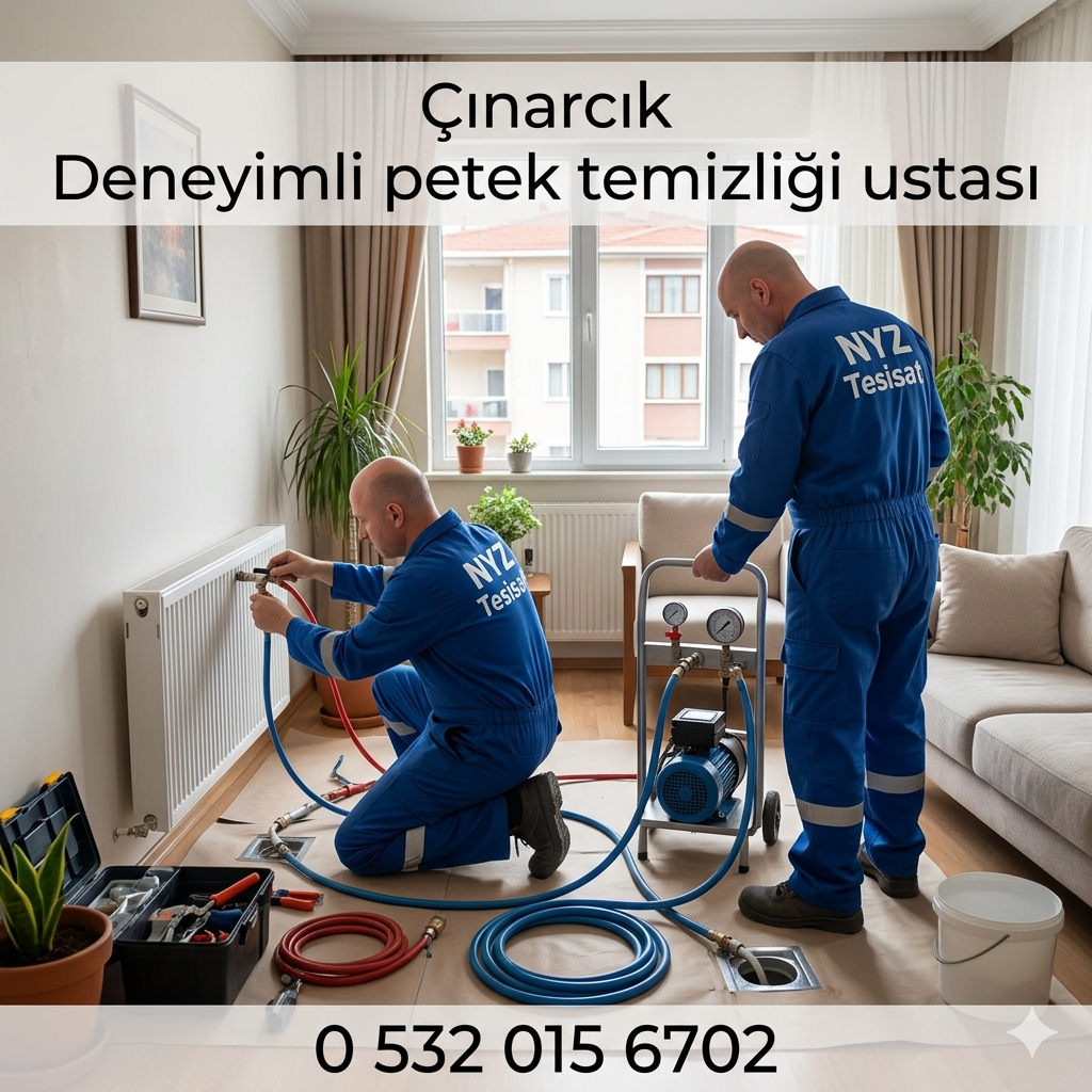 Çınarcık Deneyimli Petek Temizliği Ustası