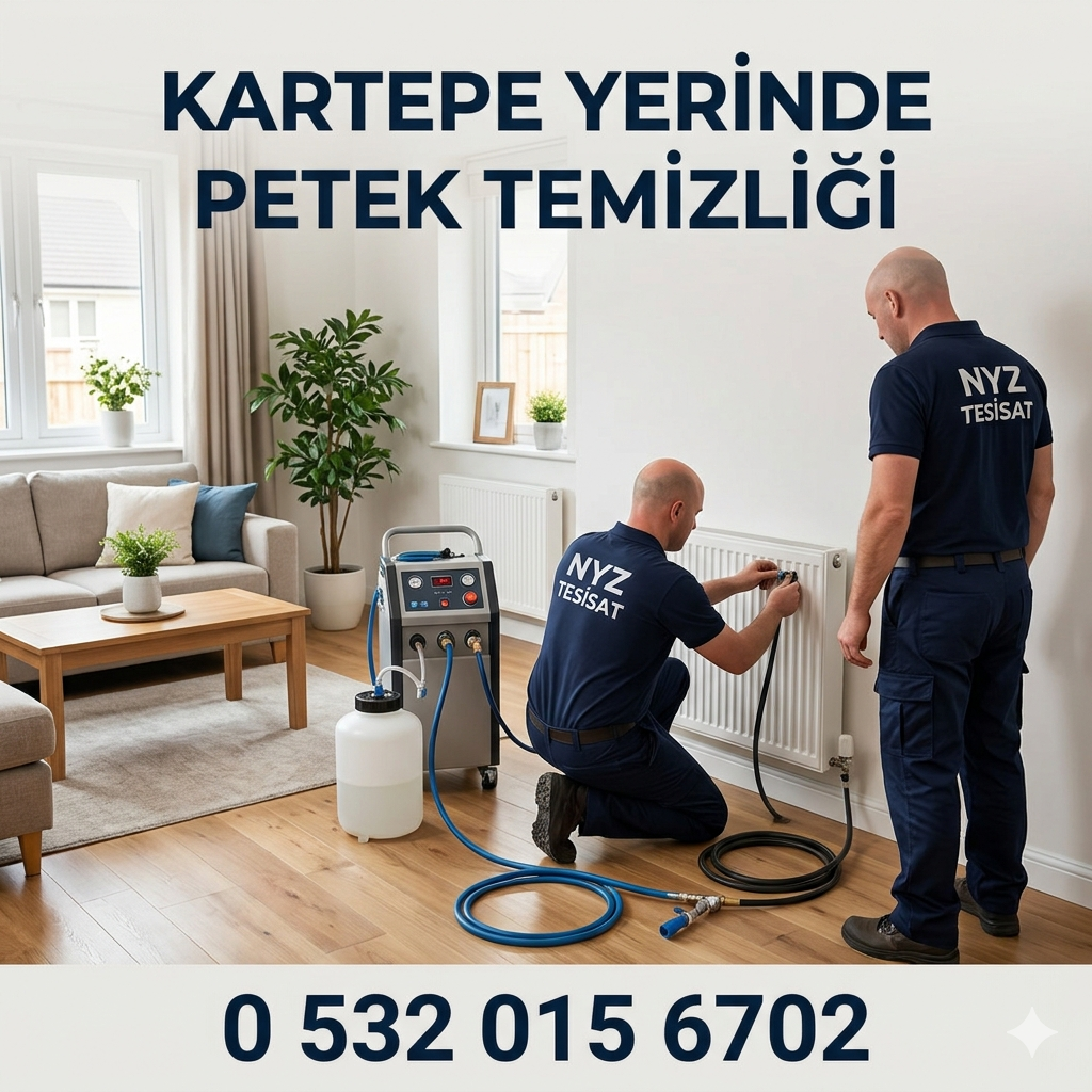 Kartepe Yerinde Petek Temizliği