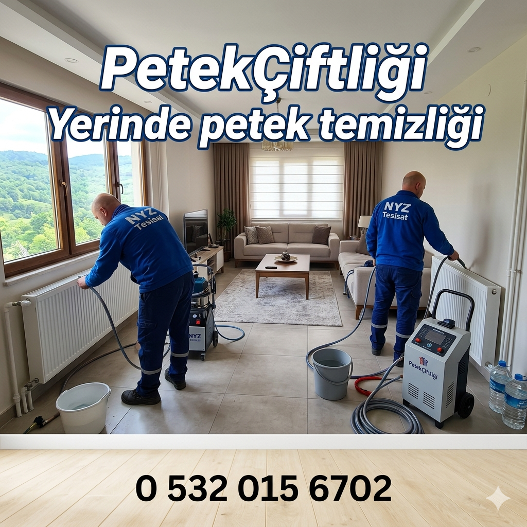 PetekÇiftliği Yerinde Petek Temizliği